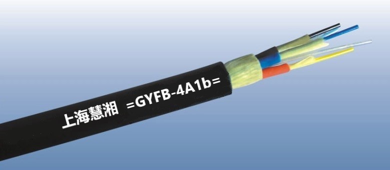 GYFB-4A1b.jpg